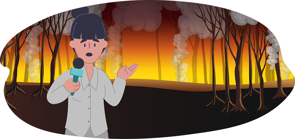 Bushfires Bushfires